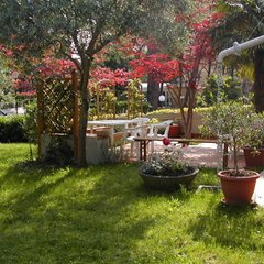 Il giardino dell'hotel Rosapineta