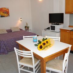 One room apartment at Carinzia Aparthotel 